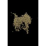 Serhat Aksesuar ve El İşçilik Gold 3 mm Yuvarlak Metal Boncuk (30 Gr 750 Adet)