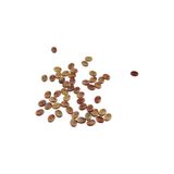 Serhat Aksesuar ve El İşçilik Oval Görünümlü 11x8 mm Mercan Boncuk (85 Adet)