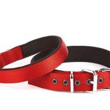Seri Dokuma Köpek Boyun Tasması 5X50-60Cm Kırmızı