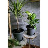 Serinova 22 Litre 42X31cm Tabaklı Plastik Büyük Boy Yuvarlak Saksı Villa No9 Antrasit Gri