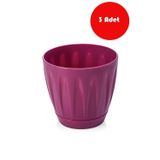 Serinova 3 Adet 3Litre Vişne Rengi PapatyaSaksı - P003V