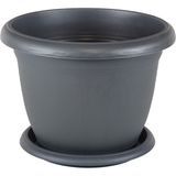 Serinova 6 No Villa Saksı 5 Lt. - Antrasit - 260X190