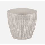 Serinova Beyaz Sümela 173x153 Mm 2.50 Lt Saksı