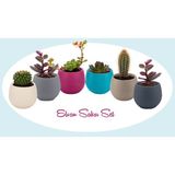 Serinova- Elvan 6 Adet Mini Kaktüs-Sukulent Saksı Seti - Elvan Saksı No: 1 Drenajlı 0,13 Lt ( ES01 ) - 0.13 Lt.