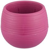 Serinova ES03 Vişne 9.6 cm 550 ml Elvan Kaktüs Sukulent Tabaklı Saksı