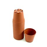 SERİNOVA Kaktüs & Sukulent Üretim Saksı 5,5 Cm 20 Adet