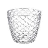 Serinova KAP/4 Şeffaf Orkide Saksısı Tabaklı 21,6cm, 5 Litre Şeffaf