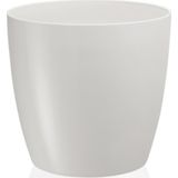 Serinova Krem Yakut Saksı - 7.4 L