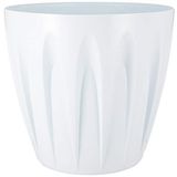 Serinova P007 45 cm 46 L Beyaz Papatya Tabaklı Saksı