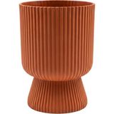 serinova Serinova Lotus No 3 Büyük Boy Ayaklı Dekoratif Vazo Saksı 10,5 L - Kayısı Turuncu