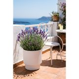 SERİNOVA Vega Saksı 2 NO 20 L Beyaz İç Saksılı Dikey Çizgili Salon ve Balkon 30x25x32 cm