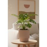 SERİNOVA VEGA SAKSI 2 NO - Mocha