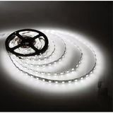 Şerit Led 10 Metre Beyaz Işık İç Mekan 3 Çipli 6400K (Trafosuz)