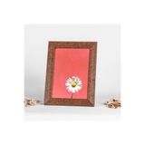 Serita 30Luk 21x30 Fotoğraf Çerçevesi A4 Diploma Belgelik Çerçeve 30mm ÜRÜN AYAKLI DEĞİLDİR DUVARA ASMAK ICINDIR.