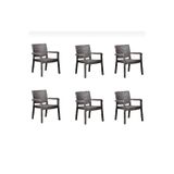 Sermer Pazarlama 6 Lı Set Troya Rattan Koltuk