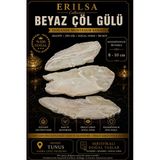 Sertifikalı Beyaz Çöl Gülü Selenit Taşı Kütle - İri Boy 8-10 Cm Koleksiyonluk Doğal Taş