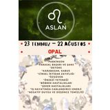 Sertifikalı Burç Taşı Aslan Burcu Opal Taşı Bileklik