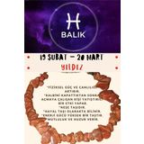 Sertifikalı Burç Taşı Balık Burcu Yıldız Taşı Bileklik