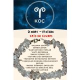 Sertifikalı Burç Taşı Koç Burcu Kristal Kuvars Bileklik