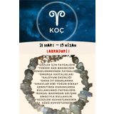 Sertifikalı Burç Taşı Koç Burcu Labradorit Bileklik