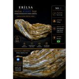 Sertifikalı Doğal Kyanit Taşı Kütle – Ham Kristal Mineral Koleksiyonluk Dekor Taşı No2 Vitrin