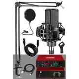 Ses Kartı ve Kondansatör Mikrofon Seti, Filtre ve Stand ile