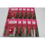 Sesli Yasin-i Şerif Okunuşlu ve Mealli Orta Boy 10 Adet - Elmalılı Hamdi Yazır