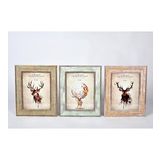 SETA FRAME FOTOĞRAF ÇERÇEVESİ 3LÜ MIX PASTEL 15*20CM