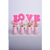 SETABIANCA Garden Mini Saksi Love Pembe 27x5x19 cm 4Lü