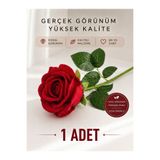 Sev-AL Balonları Kadife Kırmızı Yapay Gül – Gerçek Görünümlü, Solmaz Şık Dekor & Hediye
