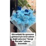 Sevgi burada Özel Gün Hediyesi Mavi Lilyum Şönil Buket