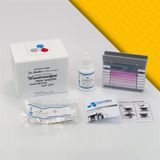 Sevgift Mangan Test Kiti (0-20 Ppm) | Su Analiz Kiti – Kolorimetrik Ölçüm 100 Test - Beyaz
