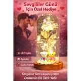 Sevgililer Günü Hediyesi Led Işıklı Güllü Cam Fanus Ayıcık Romantik Dekor