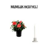 Sevgililer Gününe Özel Kırmızı Japon Gülü(Hibiscus Rosa) Mumluk Hediyeli