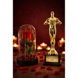 Sevgililer Gününe Romantik Hediye Seti Yılın En İyi Aşkı Oscar Biblo Ve Işıklı Mika Fanus Gül Seti
