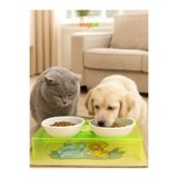 sevgipet 2'li Seramik Dekoratif Kedi Ve Köpek Pleksi Mama & Su Kabı ve Paspas (Karışık Renk)