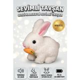 Sevimli Arkadaşım Tavşan: Sesli Yürüyen Hareketli Havuç Detaylı Eğitici Oyuncak Peluş BEYAZ