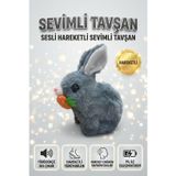 Sevimli Arkadaşım Tavşan: Sesli Yürüyen Hareketli Havuç Detaylı Eğitici Oyuncak Peluş GRİ