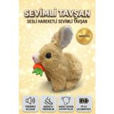 Sevimli Arkadaşım Tavşan: Sesli Yürüyen Hareketli Havuç Detaylı Eğitici Oyuncak Peluş KAHVERENGİ