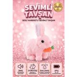 Sevimli Arkadaşım Tavşan: Sesli Yürüyen Hareketli Havuç Detaylı Eğitici Oyuncak Peluş PEMBE