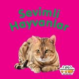 Sevimli Hayvanlar - Mini Karton Kitaplar
