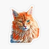 Sevimli Kedi Araba Oto Sticker Etiket Renkli V1