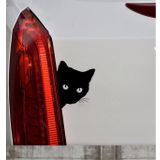 Sevimli Kedi Z Araba Sticker Yapıştırma