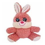 Sevimli Peluş Tavşan