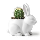 Sevimli Tavşan Figürlü Dekoratif Saksı ve Vazo - Modern Sukulent ve Kaktüs Çiçekliği, Estetik Masaüstü Objesi, Paskalya Temalı Ev Dekoru,Tavşan Küçük Vazo Rabbit Flower Pot – Unique Vase & Decor