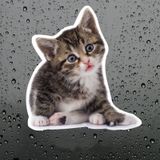 Sevimli yaramaz kedi araba Sticker Etiket 18CM m2