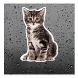 Sevimli yaramaz kedi araba Sticker Etiket 18CM m4