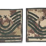 Seyhan Askeri Malzeme ASTSUBAY RÜTBE YENİ KAMUFLAJ - 9cmx9cm CIRTLI Kıdemli Başçavuş