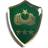Seyhan Askeri Malzeme Minyatür Rütbe Albay Sağlık Sınıfı Rütbe - standart - Haki