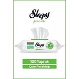 Şeylişeyler - Sleepy Çam Ferahlığı Yüzey Temizlik Havlusu 100 Yaprak 5 Paket